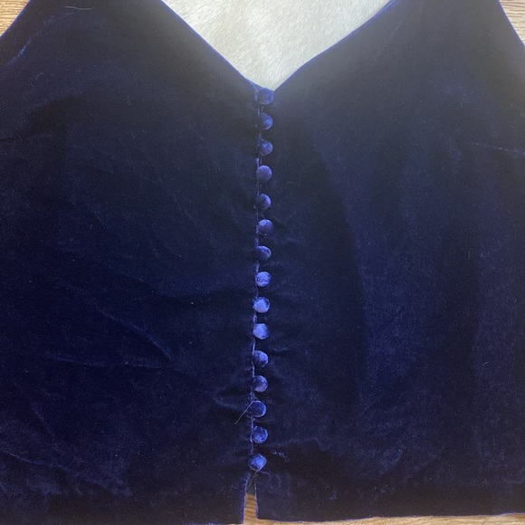 blue velvet camisole top from Madewell - Picture 5 of 8